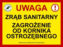 ZAGROŻENIE OD KORNIKA OSTROZĘBNEGO !