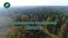 Nadleśnictwo Krzystkowice - Historia