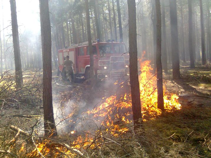 Fot&#x2e;&#x20;Archiwum&#x20;Nadleśnictwa&#x20;Krzystkowice