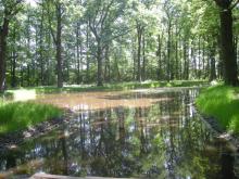 Increasing the retention potential and counteracting floods and draughts in lowland ecosystems in forested areas
