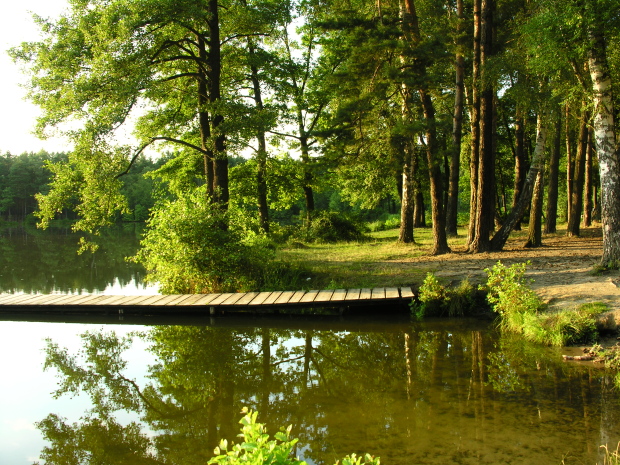 Śródleśne&#x20;jezioro&#x20;&#x2f;fot&#x2e;&#x20;Paweł&#x20;Mrowiński&#x2f;Nadleśnictwo&#x20;Lubsko