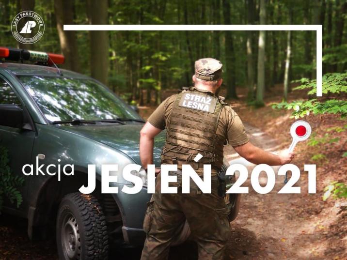 Grafika&#x20;&#x22;Akcja&#x20;Jesień&#x20;2021&#x22;&#x20;przedstawia&#x20;strażnika&#x20;leśnego&#x20;&#x28;źródło&#x3a;&#x20;archiwum&#x20;DGLP&#x29;