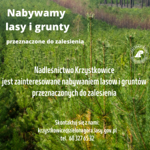 Jesteś posiadaczem lasu? Ta wiadomość może Cię zainteresować! Zakup gruntów przez Nadleśnictwo Krzystkowice.