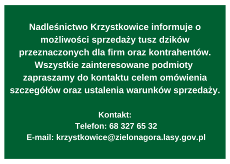SPRZEDAŻ TUSZ DZIKÓW DLA FIRM ORAZ KONTRAHENTÓW
